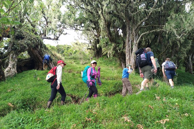 4 Days Mount Meru Trekking - Frequently Asked Questions