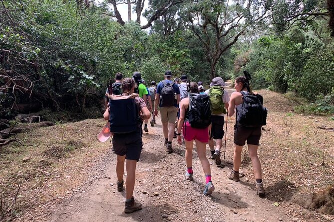 4 Days Mount Meru Trekking Experience in Tanzania - Trekking Tips