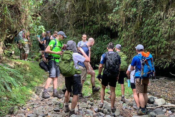 4 Days Mount Meru Trekking Experience in Tanzania - The Sum Up