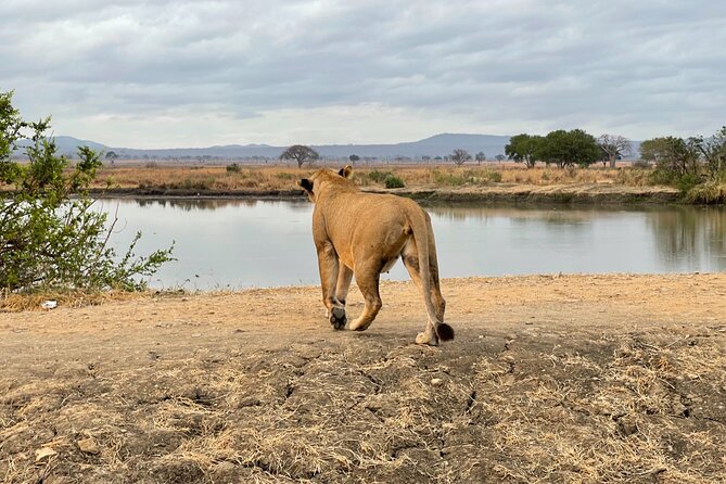 4 Days Ngorongoro Crater, Tarangire and Serengeti National Park - Weather Contingency