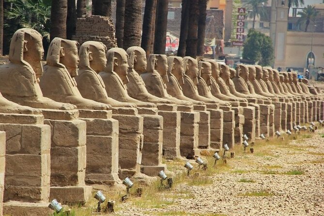4-Days Nile Cruise Including Tours & Hot Air Balloon From Aswan - Additional Accessibility Information