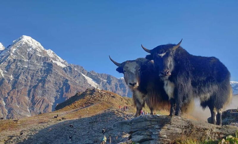 4 Days Pikey Peak Trek : The Best View of Mt Everest - Is This Trek Worth It?