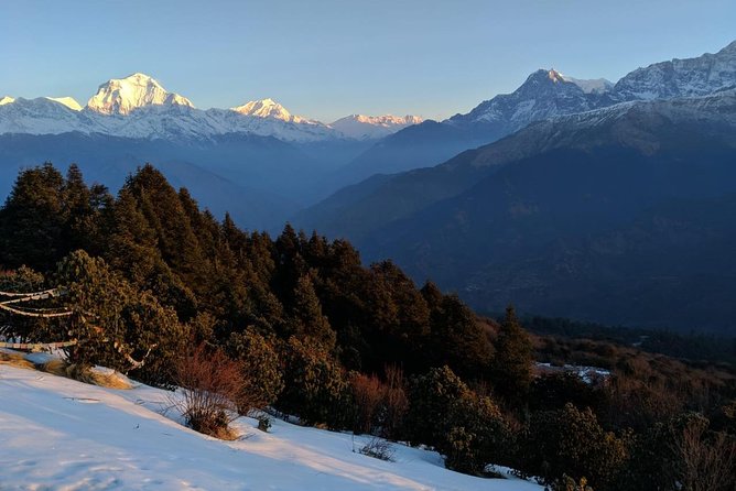 4 Days Poon Hill Trek From Pokhara - Meeting and Pickup Details