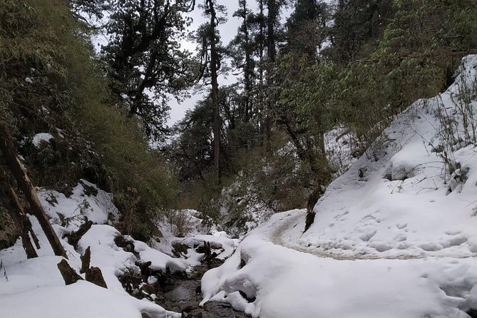 4 Days Poon Hill Trek From Pokhara - The Sum Up