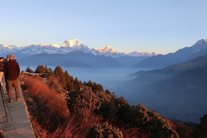 4 Days Poon Hill Trek From Pokhara - Itinerary Details
