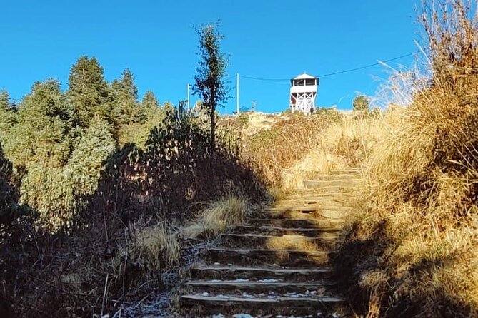 4 Days Poon Hill Trek From Pokhara - Tips for a Successful Trek