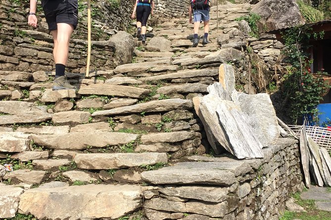 4 Days Poon Hill Trek From Pokhara - Itinerary Highlights