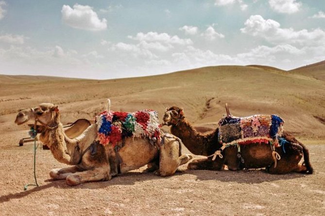 4 Days: Private Desert Tour From Marrakech to Merzouga & Camel Trek - The Sum Up