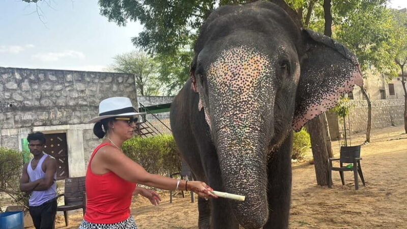 4-Days Private Golden Triangle Tour: Delhi, Agra & Jaipur - Good To Know