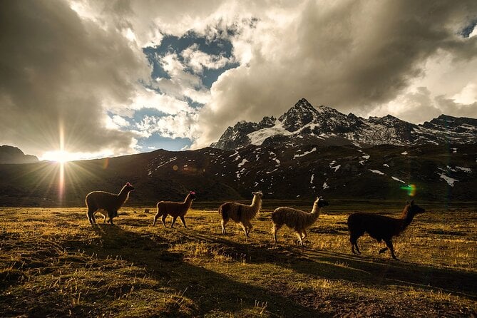 4-Days Private Inca Trail Tour - Cultural Experiences