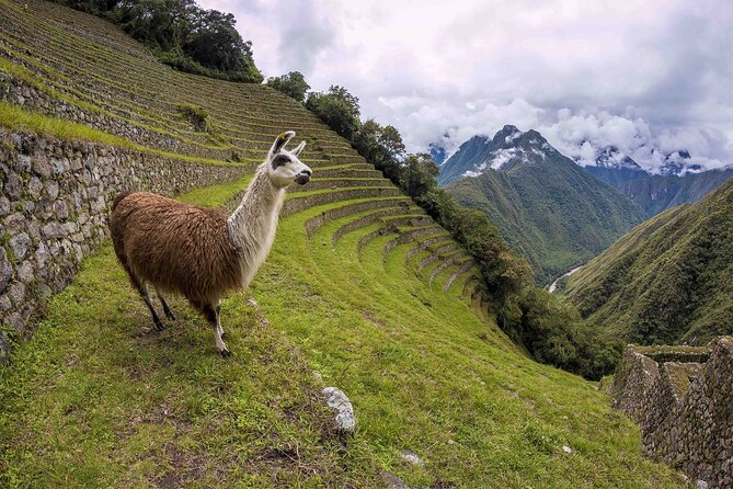 4-Days Private Inca Trail Tour - Frequently Asked Questions