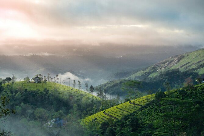 4 Days Private Kerala Tour -Kochi, Munnar, Thekkady with 3* Hotel - Exploring Kerala in Four Days: A Practical Look at the Private Kochi, Munnar, and Thekkady Tour