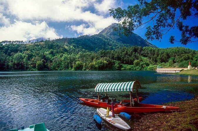 4 Days Private Kerala Tour -Kochi, Munnar, Thekkady with 3* Hotel - Who Should Book This Tour?