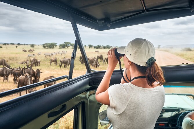 4 Days Private Lodge Safari Tour Tanzania - Inclusions and Exclusions