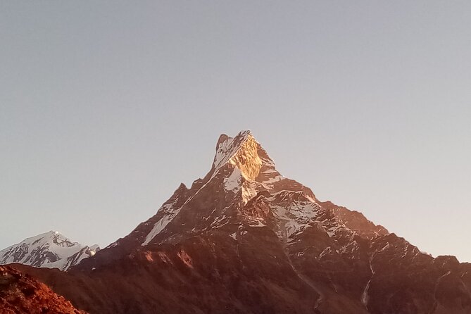 4 Days Private Mardi Himal Base Camp Trek - Trek Itinerary