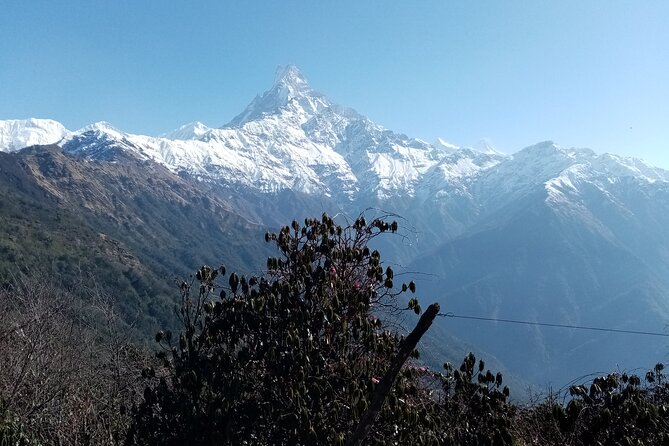 4 Days Private Mardi Himal Base Camp Trek - Common Questions