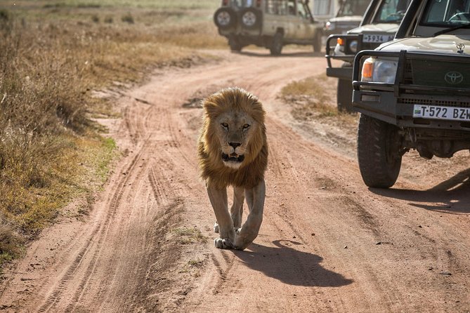 4-Days Private Midrange Safari Tarangire, Serengeti & Ngorongoro - Transportation and Pickup Details