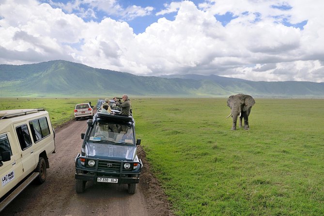 4-Days Private Midrange Safari Tarangire, Serengeti & Ngorongoro - Booking, Pricing, and Reviews