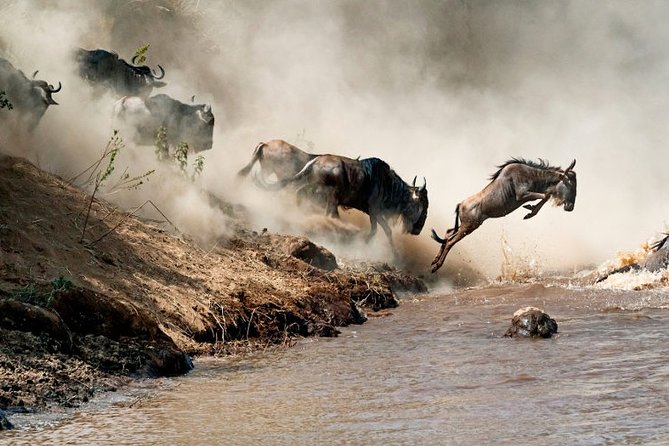 4 Days Private Safari Tour Tanzania - Frequently Asked Questions