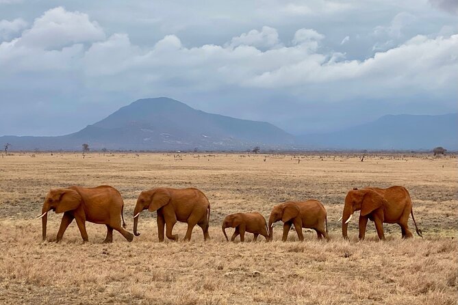 4 Days Private Safari Tour Tsavo and Amboseli From Nairobi - Accommodation Details