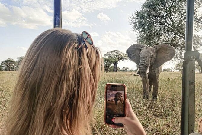 4 Days Private Safaris in Tarangire, Ngorongoro and Serengeti . - Accommodation Details