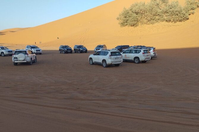 4-Days Private Tour From Marrakech to Merzouga and Fes - Customer Reviews