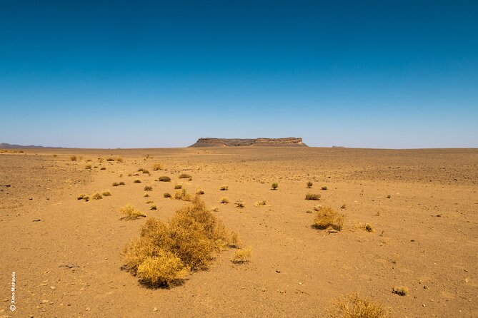 4 Days Private Tour to Ouzina Desert and Merzouga - Accommodations and Meals