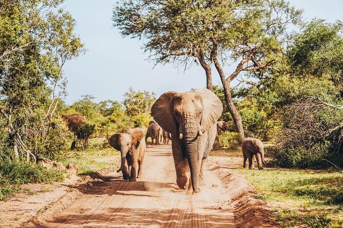 4 Days Radisson Safari Hotel and Kruger National Park, Limpopo - Good To Know
