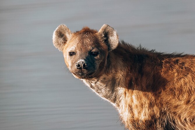 4 Days Radisson Safari Hotel and Kruger National Park, Limpopo - Frequently Asked Questions