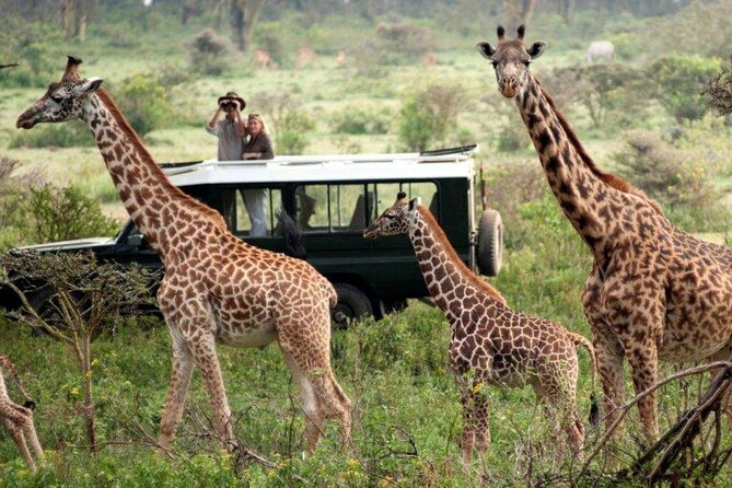 4 Days Safari in Maasai Mara Game Reserve - Reviews and Ratings