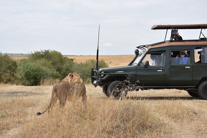 4 Days Safari in Maasai Mara Game Reserve - Price and Booking Information