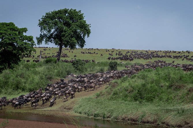 4 Days Safari Lake Manyara, Serengeti and Tarangire National Park - Good To Know