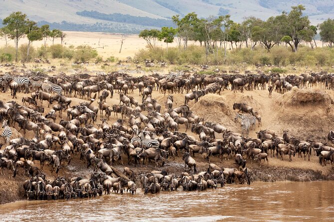 4 Days Safari Lake Manyara, Serengeti and Tarangire National Park - Inclusions and Exclusions