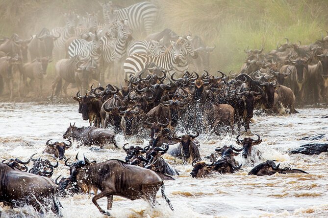 4 Days Safari Lake Manyara, Serengeti and Tarangire National Park - Meeting and Pickup Information