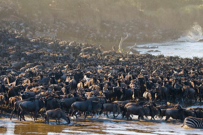 4 Days Safari Lake Manyara, Serengeti and Tarangire National Park - Additional Safari Information