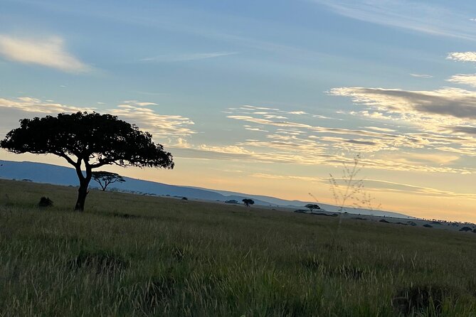 4 Days Safari Lake Manyara, Serengeti and Tarangire National Park - Pricing and Guarantee
