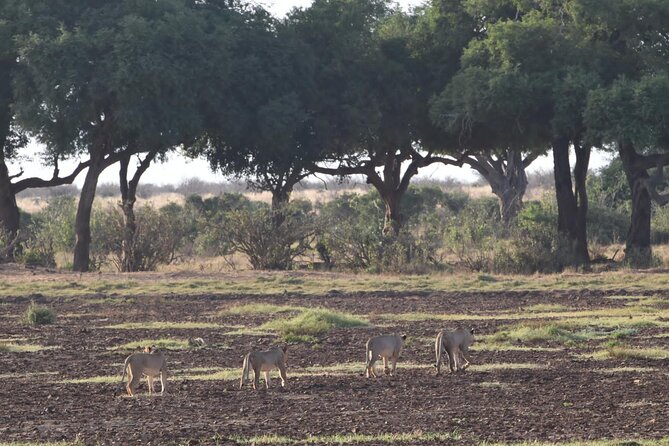 4 Days Safari to Amboseli N/P, Tsavo East N/P. - Safari Packing List