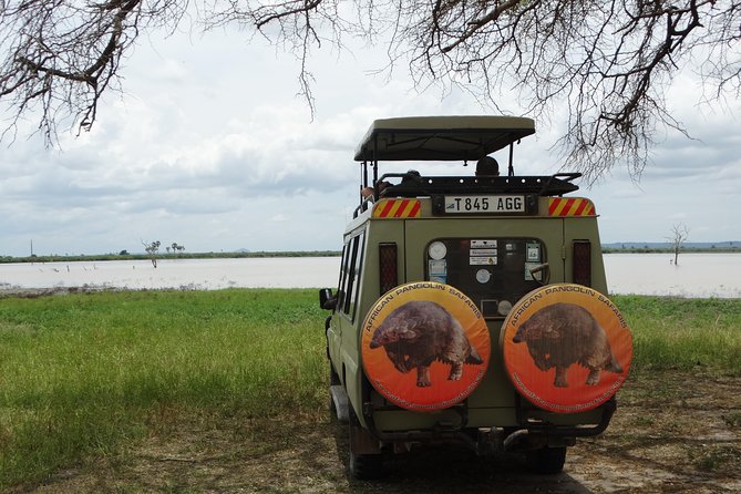 4 Days Safari to Nyerere NP (Selous Gr) - Camping in the Heart of the Park - Campfire Dining Experience