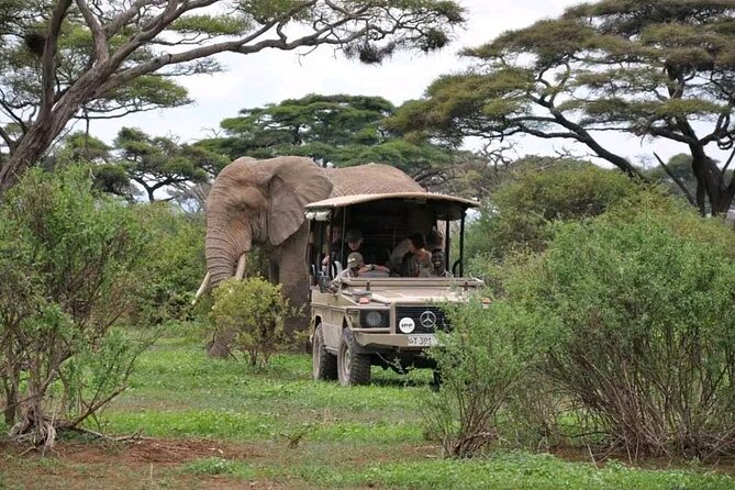 4 Days Safari to Tarangire Sererngeti and Ngorongoro From Arusha - Inclusions and Exclusions
