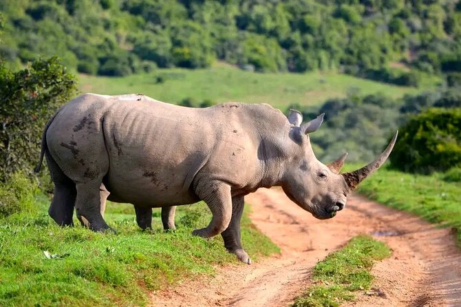 4 Days Safari to Tarangire Sererngeti and Ngorongoro From Arusha - Pricing and Lowest Price Guarantee