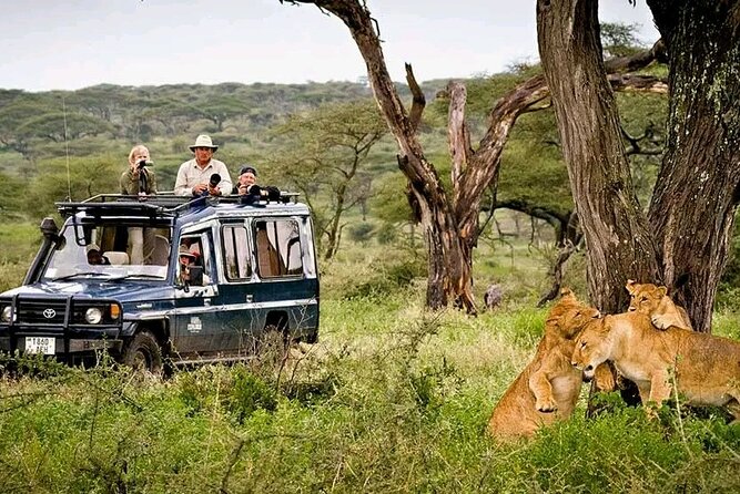 4 Days Safari to Tarangire Sererngeti and Ngorongoro From Arusha - Additional Information