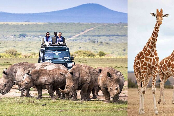 4 Days Safari Tour in Masai Mara by 4x4 Jeep - Services Provided