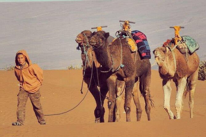 4-Days Sahara Desert Trip From Marrakech End at Marrakech - Important Reminders