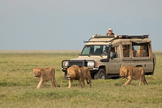 4 Days Scenic Tarangire, Ngorongoro, Serengeti Group Safari - Itinerary Overview