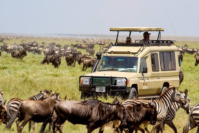 4 Days Serengeti and Ngorongoro Crater Tanzania Tour - The Sum Up