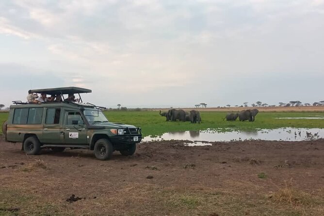4 Days Serengeti Safari From Mwanza - Tours - Transportation Logistics