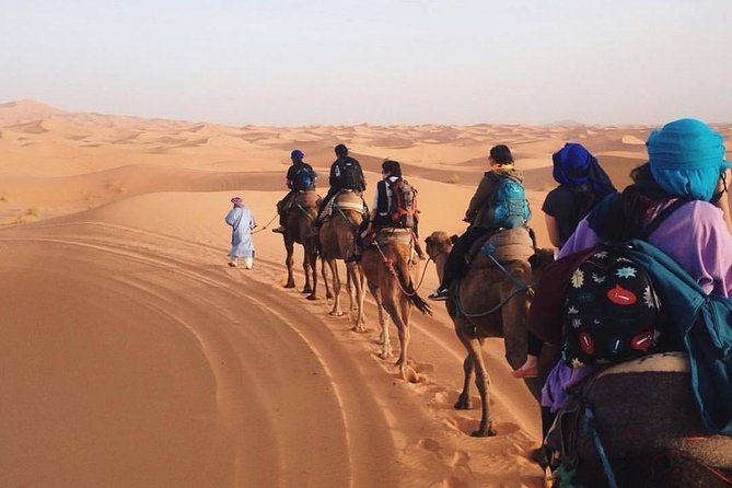 4 Days Shared Desert Tour From Marrakech to Zagora and Merzouga - Tour Details