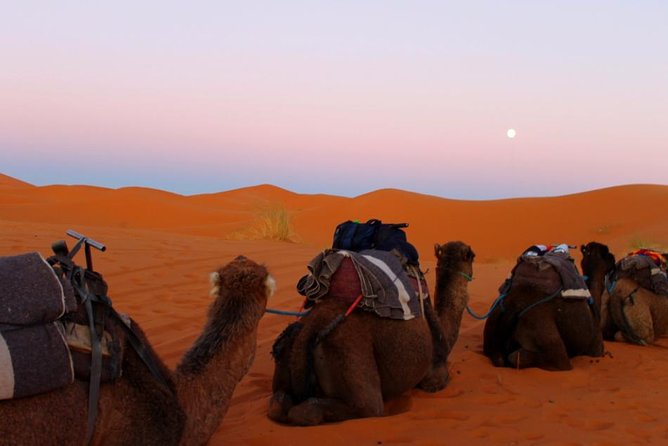 4 Days Shared Desert Tour From Marrakech to Zagora and Merzouga - Clothing Requirements