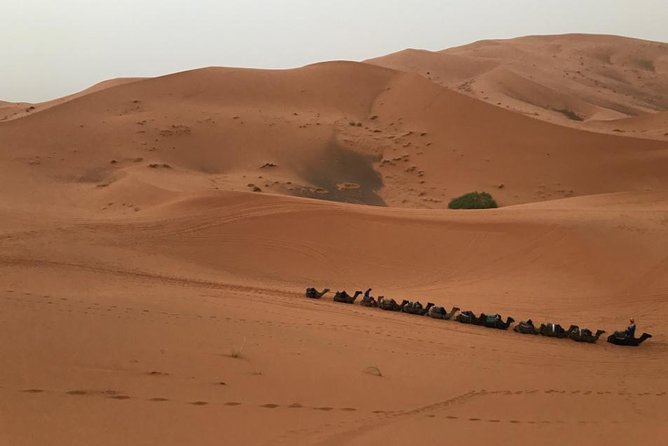 4 Days Shared Desert Tour From Marrakech to Zagora and Merzouga - Reviews