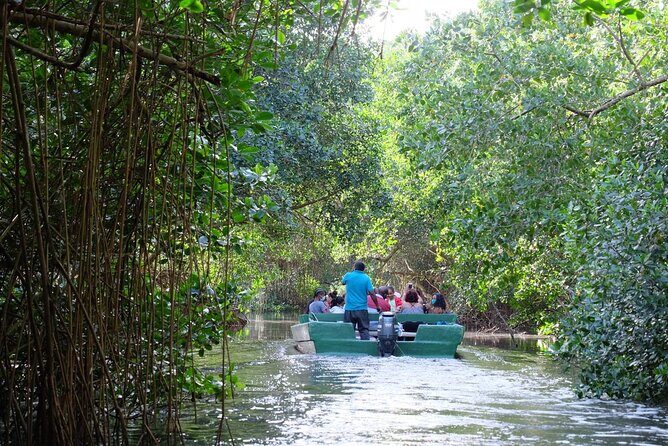 4 Days Shared Tour Around Trinidad - Good To Know